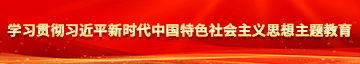 草逼爽学习贯彻习近平新时代中国特色社会主义思想主题教育